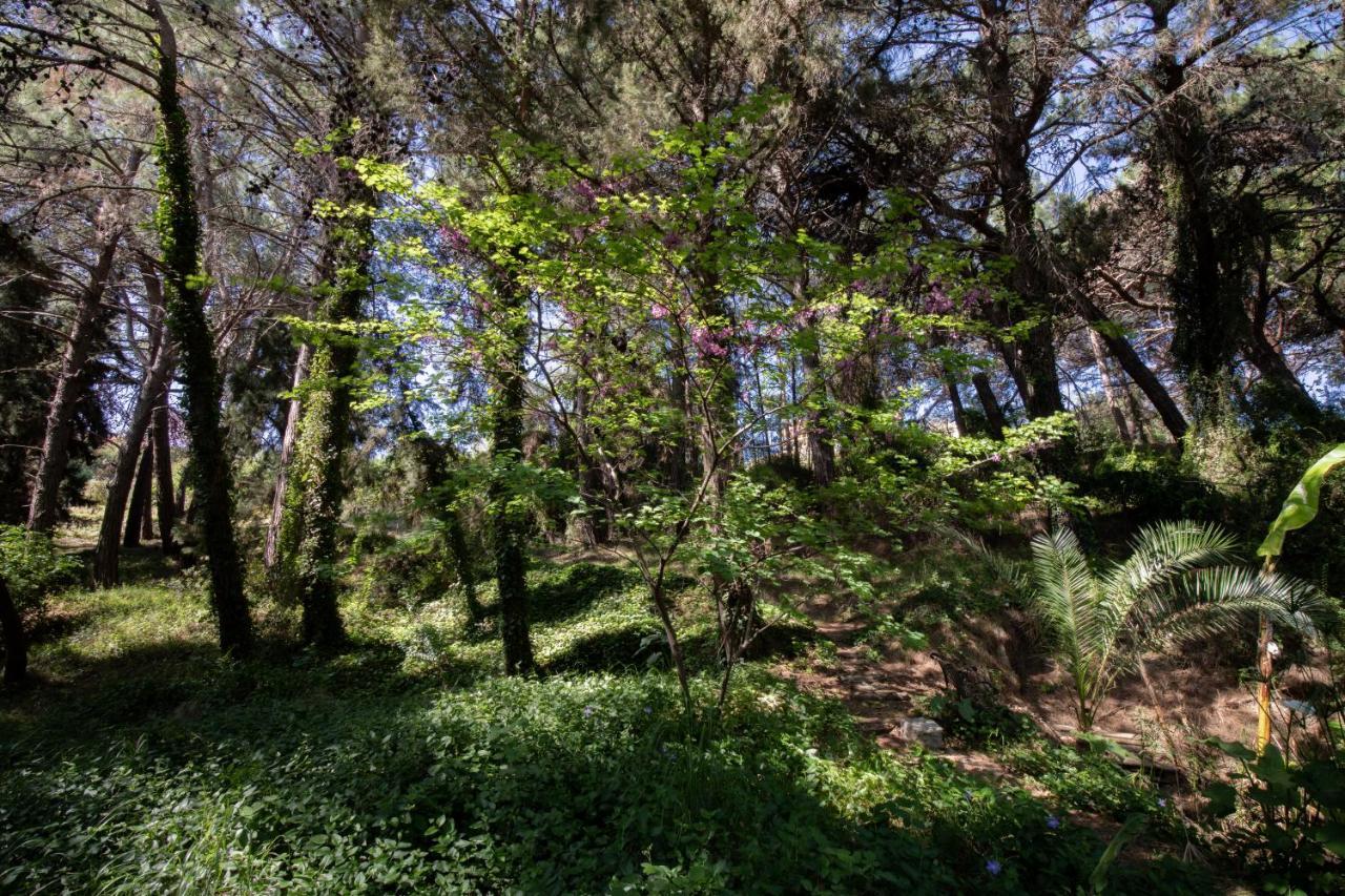 Villa René Koskinou  Esterno foto